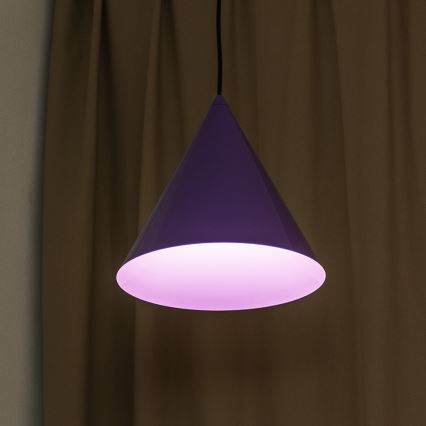 Hanglamp met kabel ETNA II 1xE27/15W/230V Ø 25 cm paars