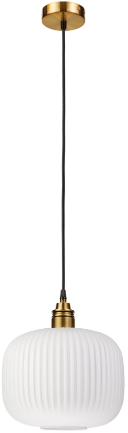 Hanglamp met kabel HECTOR 1xE27/15W/230V Ø 25 cm