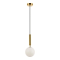 Hanglamp met kabel JOLIN 1xG9/5W/230V goudkleurig