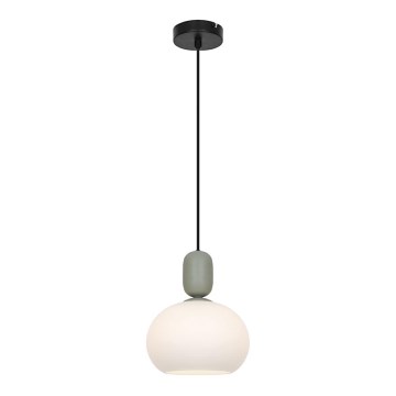 Hanglamp met kabel VALISIA 1xE27/40W/230V zwart/olijfgroen