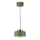 Hanglamp met snoer IGNIA 1xE27/60W/230V groen