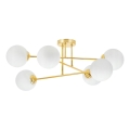 Hanglamp met vaste pendel 6xE27/35W/230V diameter 80 cm goud