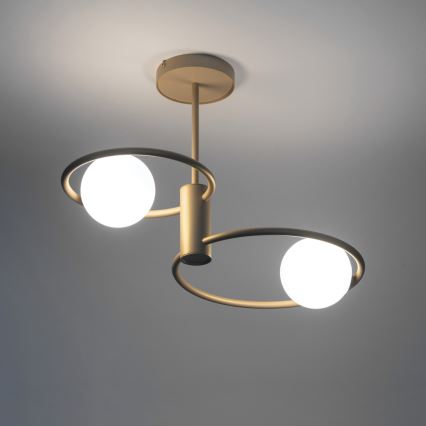 Hanglamp met vaste pendel AQUA 2xG9/12W/230V goud