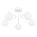 Hanglamp met vaste pendel ASTRAL 5xG9/8W/230V wit