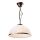 Hanglamp met vaste pendel RETRO 1xE27/60W/230V zwart patina