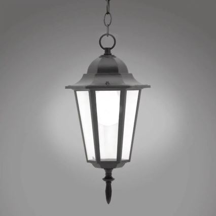 Hanglamp voor buiten 1xE27/20W/230V IP43 zwart