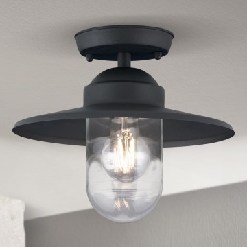 Hanglamp voor buiten EDWARD 1xE27/60W/230V IP44 zwart