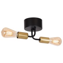 Hanglamp voor Oppervlak Montage BRENDA 2xE27/60W/230V zwart/goud