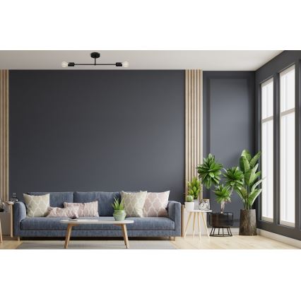 Hanglamp voor Oppervlak Montage CAMBRIDGE 2xE27/15W/230V zwart