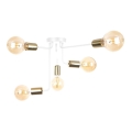 Hanglamp voor Oppervlak Montage NIXO 5xE27/60W/230V wit/goud