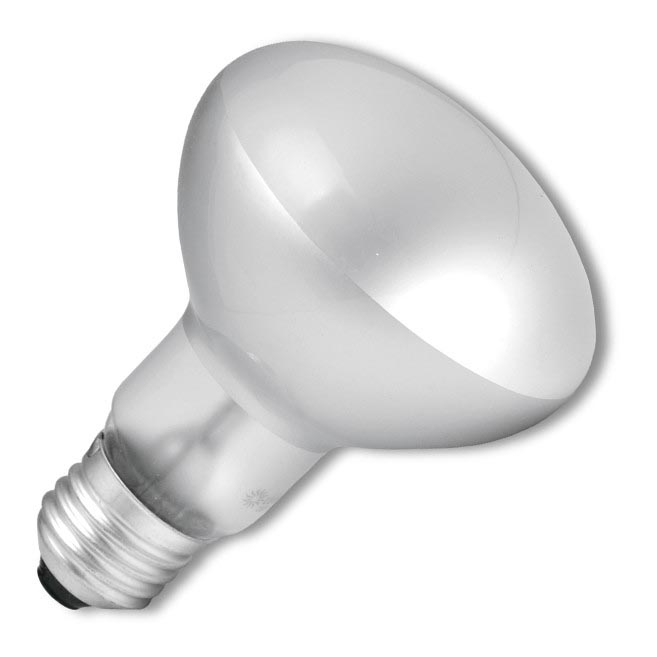 Heavy-duty lamp E14/40W/230V 2700K - Ecolite