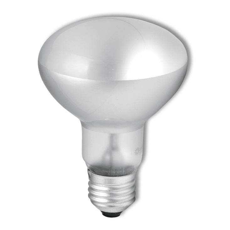 Heavy-duty schijnwerperlamp R63 E27/40W/230V 2700K
