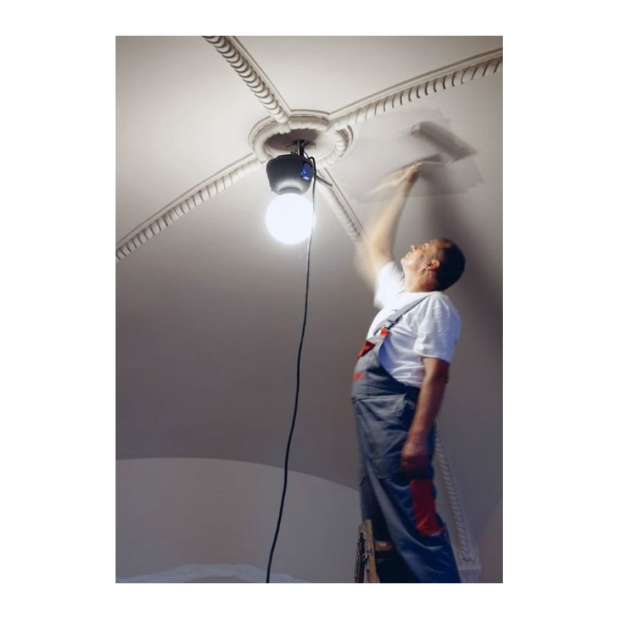 Helios 306-WLG223 - LED Werklamp voor buiten WORK GLOBE 2 LED/23W/230V IP44