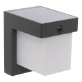 Hesperide - LED-wandlamp op zonne-energie met bewegingssensor MULTY LED/3,7V 2600 mAh IP65 antraciet