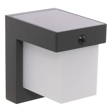 Hesperide - LED-wandlamp op zonne-energie met bewegingssensor MULTY LED/3,7V 2600 mAh IP65 antraciet