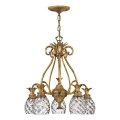 Hinkley - Hanglamp aan een ketting PLANTATION 5xE27/60W/230V goud
