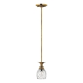 Hinkley - Hanglamp met vaste pendel PLANTATION 1xE27/60W/230V goud