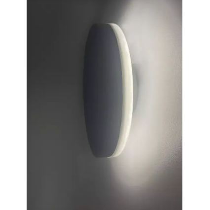 HÖFFTECH - LED buitenmuurlamp LED/10W/230V rond IP65