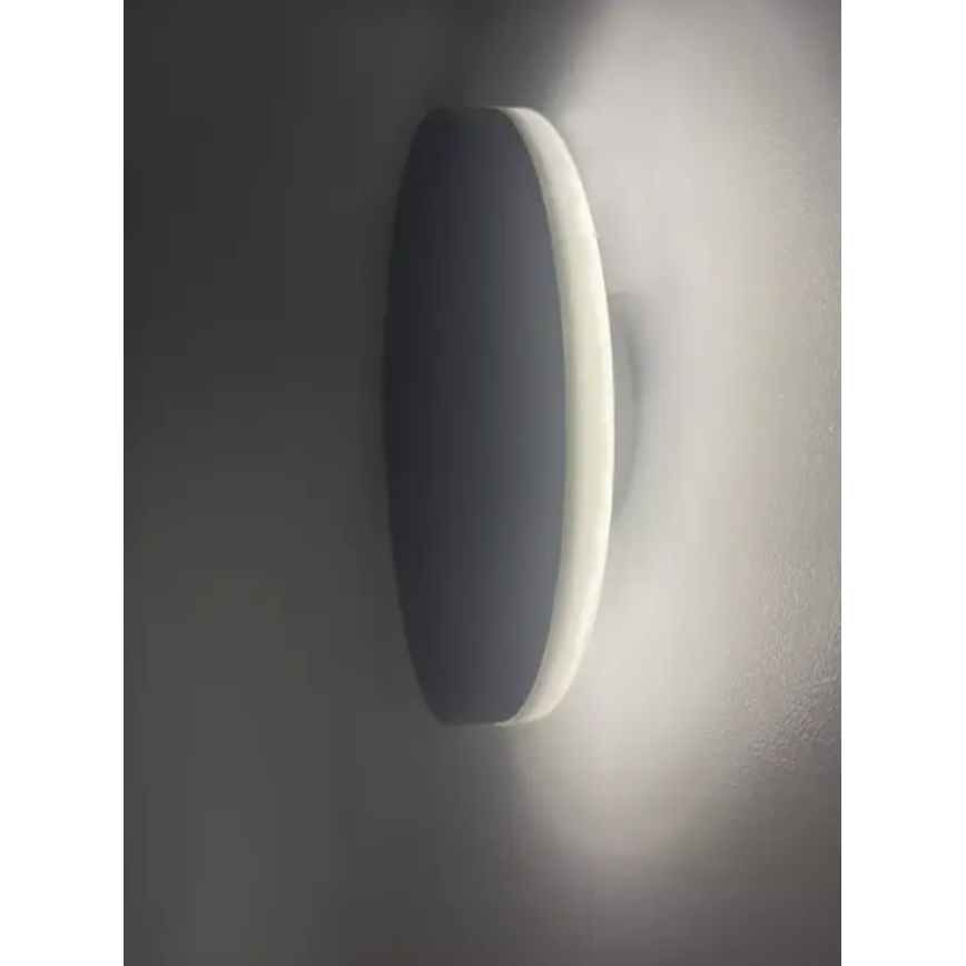 HÖFFTECH - LED buitenmuurlamp LED/10W/230V rond IP65