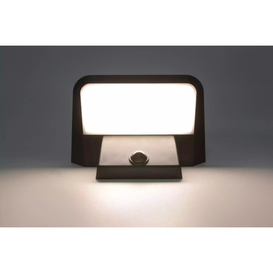 HÖFFTECH - Zonne-LED-wandlamp met bewegings- en schemersensor LED/5,5V 200 mAh IP44