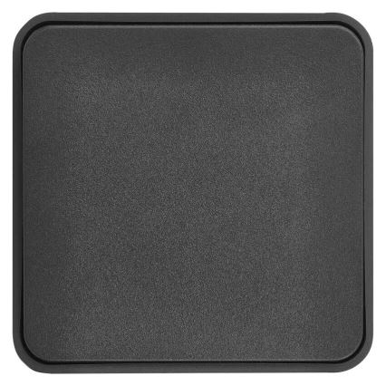 Huis schakelaar afwisselend 250V/10A IP55