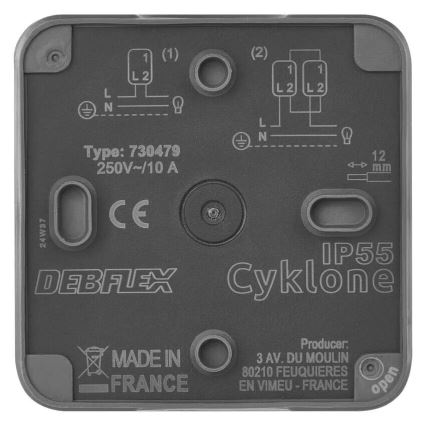 Huis schakelaar afwisselend 250V/10A IP55