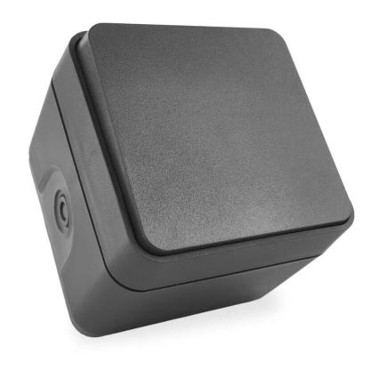 Huis schakelaar afwisselend 250V/10A IP55