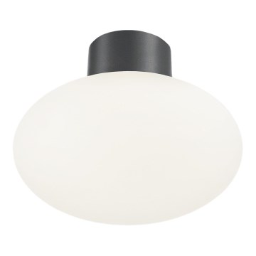 Ideal Lux - Buitenplafondlamp CLIO 1xE27/42W/230V IP44 antraciet