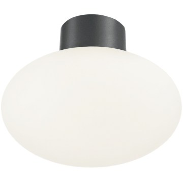 Ideal Lux - Buitenplafondlamp CLIO 1xE27/42W/230V Ø 28 cm IP44 antraciet