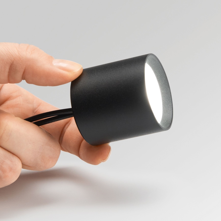 Ideal Lux - Dimbare LED Spot NITRO LED/4W/230V diameter 4,2 cm CRI 90 zwart