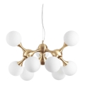 Ideal Lux - Kroonluchter aan kabel NODI 9xE14/28W/230V pr. 80 cm messing/wit