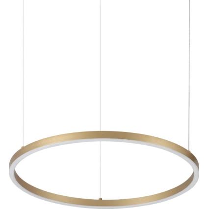 Ideal Lux - LED hanglamp met kabel ORACLE SLIM LED/29W/230V 3000K CRI 90 Ø 50 cm goudkleurig