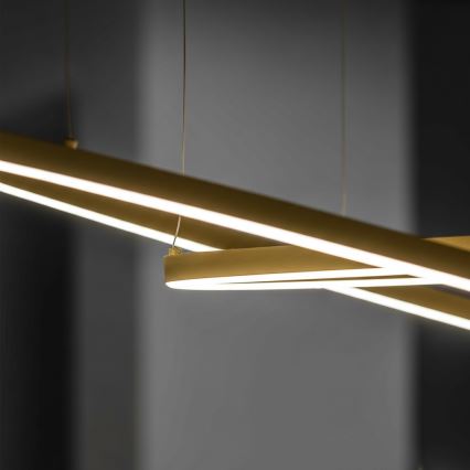 Ideal Lux - LED-kroonluchter aan kabel ORACLE SLIM LED/53W/230V 3000K CRI 90 Ø 90 cm goud