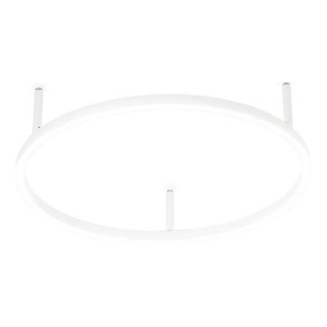 Ideal Lux - LED plafondlamp ORACLE SLIM LED/29W/230V 4000K CRI 90 Ø 50 cm wit