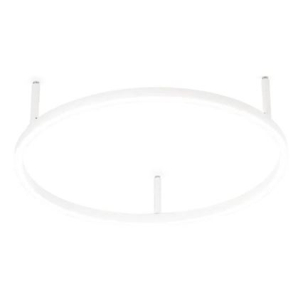 Ideal Lux - LED plafondlamp ORACLE SLIM LED/29W/230V 4000K CRI 90 Ø 50 cm wit