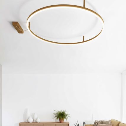 Ideal Lux - LED plafondlamp ORACLE SLIM LED/81W/230V 3000K CRI 90 Ø 150 cm goudkleurig