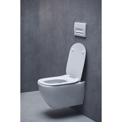 Ideal Standard T552201 - TESI SoftClose toiletzitting, wit