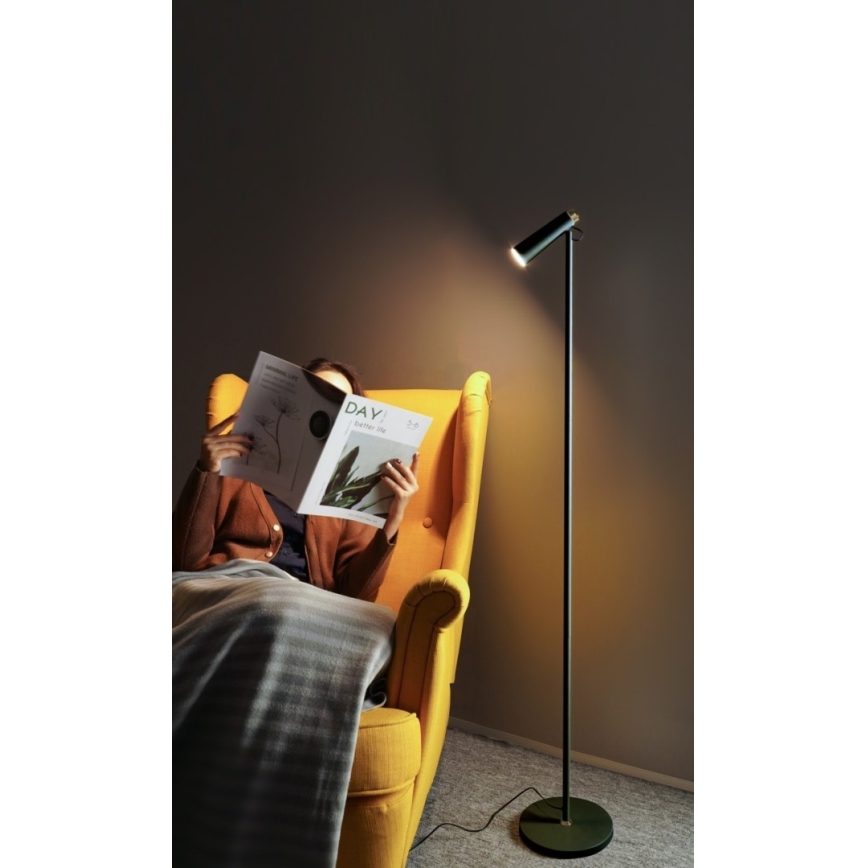 Dimbare LED Staande lamp TIT LED/6W/230V zwart