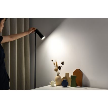 Dimbare LED Staande lamp TIT LED/6W/230V zwart