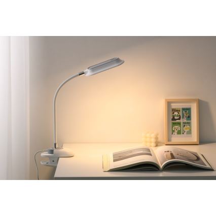 LED+CCT dimbare bureaulamp met klem CLIP LED/7,5W/230V 3000/4200/5000K wit
