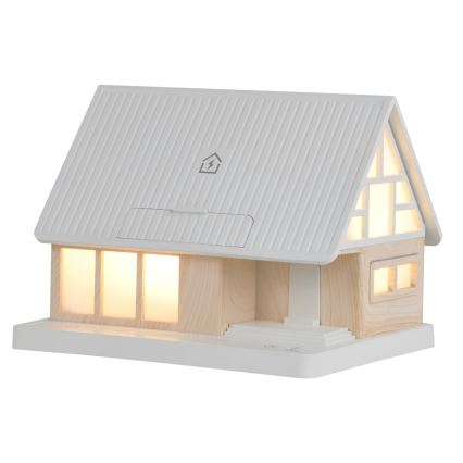 LED-tafellamp met draadloos opladen DREAM HOME LED/2W/230V