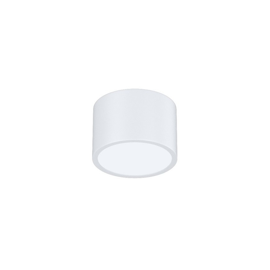 Immax Neo 07024L-15BD - Set 2x Dimbare LED plafondlamp RONDATE wit 2xLED/12W/230V + afstandsbediening Tuya