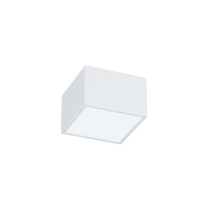 Immax Neo 07072L-15BD - Set 2x Dimbare LED plafondlamp CANTO 2xLED/12W/230V + afstandsbediening Tuya
