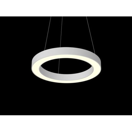 Immax NEO 07091L - LED Hanglamp aan koord dimbaar PASTEL LED/52W/230V 60 cm wit Tuya