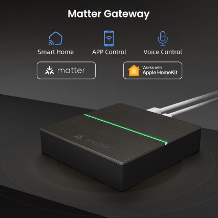 Immax NEO 07117-5 - MATTER BRIDGE Slimme Zigbee 3.0 230V Wi‑Fi