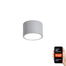 Immax NEO 07143-GR15X - Dimbare LED Plafond Lamp RONDATE LED/12W/230V Tuya grijs