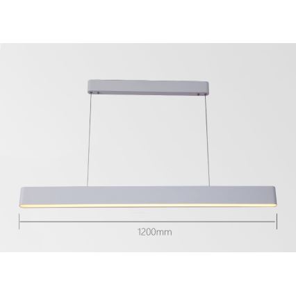 Immax NEO 07157-W120X - LED RGB+CCT Dimbare hanglamp aan een koord MILANO LED/40W/230V Tuya wit