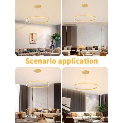 Immax NEO 07159-G80 - LED dimbare hanglamp aan snoer FINO LED/60W/230V Tuya goud + afstandsbediening