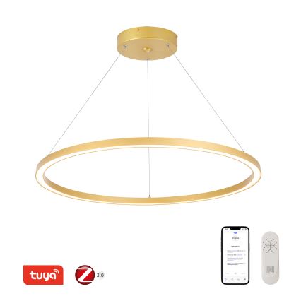 Immax NEO 07159-G80 - LED dimbare hanglamp aan snoer FINO LED/60W/230V Tuya goud + afstandsbediening