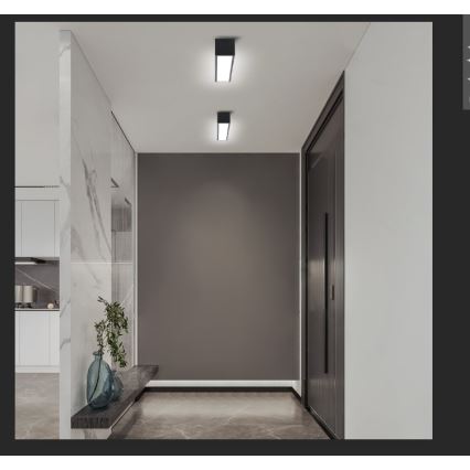 Immax NEO 07254L - Dimbare LED Plafondlamp NEO LITE LUNGO LED/20W/230V 3000-6000K Wi-Fi Tuya zwart + afstandsbediening